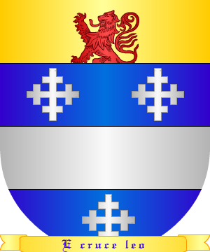 ESCUDO ALEATORIO
